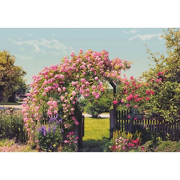 Komar Fototapete Rose Garden 368 cm x 254 cm FSC® günstig online kaufen
