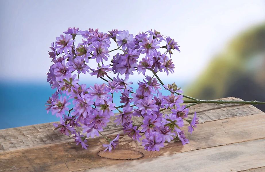 Kunstblume Anemonenzweig "Pamina" lila (48cm) günstig online kaufen