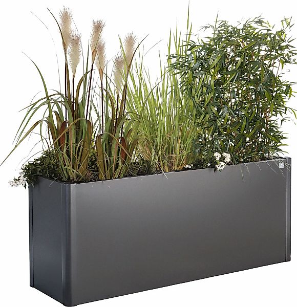 Biohort Hochbeet "BELVEDERE mini 1x0,5; verschiedene Farben" 102x53x45 cm, günstig online kaufen