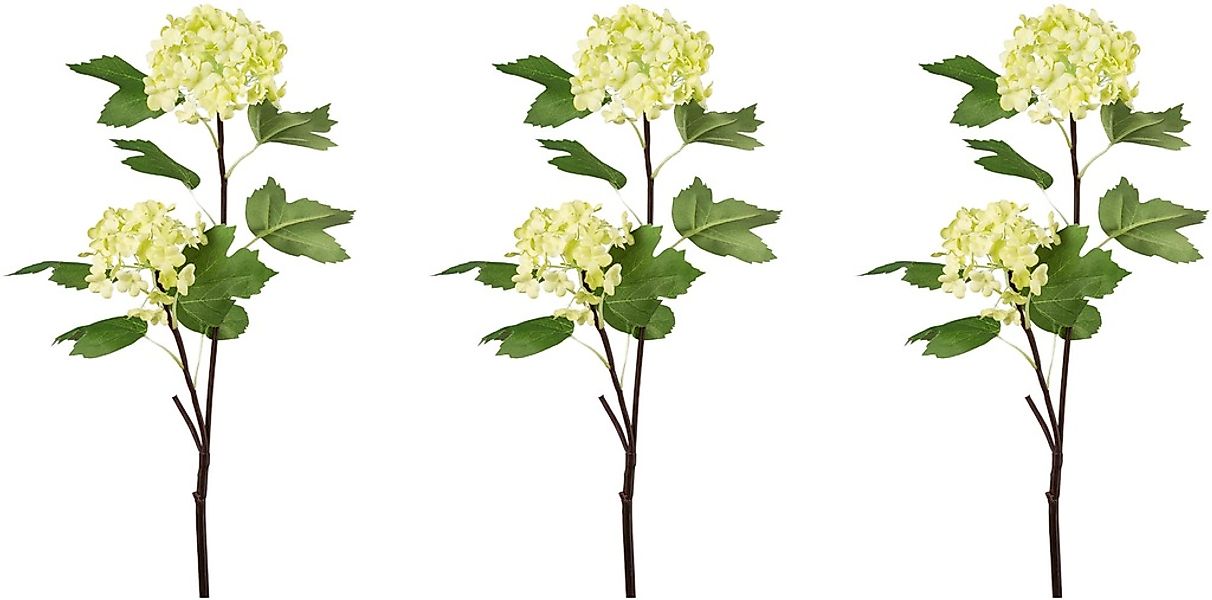 Creativ green Kunstblume "Schneeballzweig" günstig online kaufen