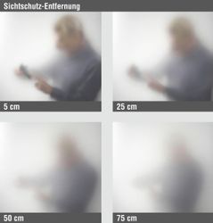 GARDINIA Fensterfolie, halbtransparent, glatt, filtert UV-Licht günstig online kaufen