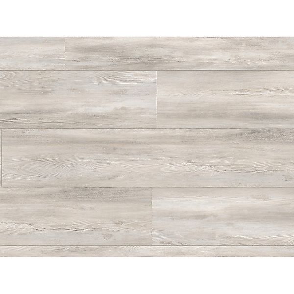 Kaindl Masterfloor Laminat 8 mm Kiefer Rotara günstig online kaufen