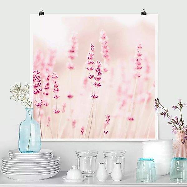 Poster Zartrosaner Lavendel günstig online kaufen