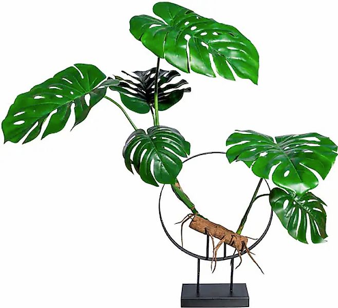 Creativ green Kunstbaum »Dekoobjekt Splitphildendron« günstig online kaufen