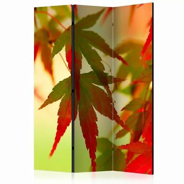 artgeist Paravent Colourful leaves [Room Dividers] mehrfarbig Gr. 135 x 172 günstig online kaufen