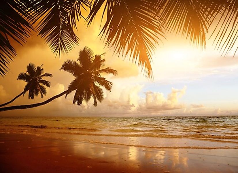 Papermoon Fototapete »PALMEN-STRAND-KARIBIK SÜDSEE MEER DÜNEN SONNE OZEAN X günstig online kaufen