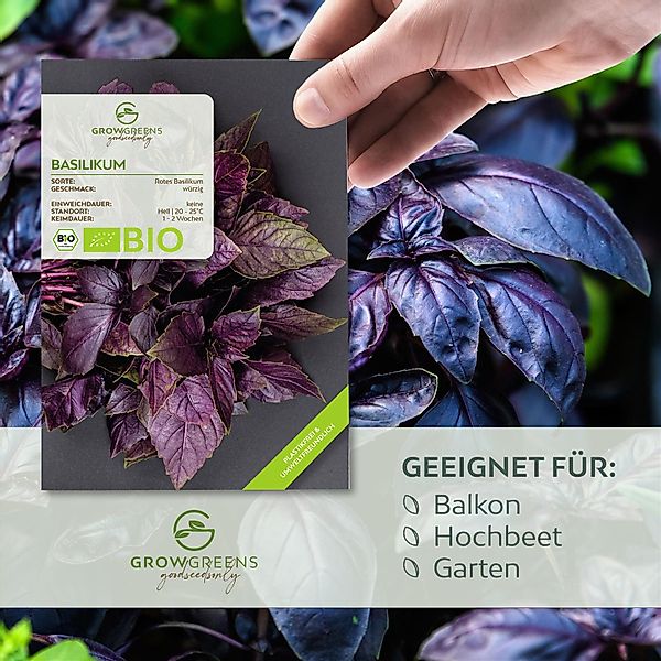 Growgreens Kräutersamen BIO-Basilikum-Rot günstig online kaufen
