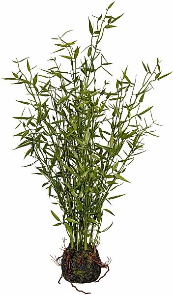 Künstliche Zimmerpflanze Bambus im Moosballen Bambus, Creativ green, Höhe 6 günstig online kaufen