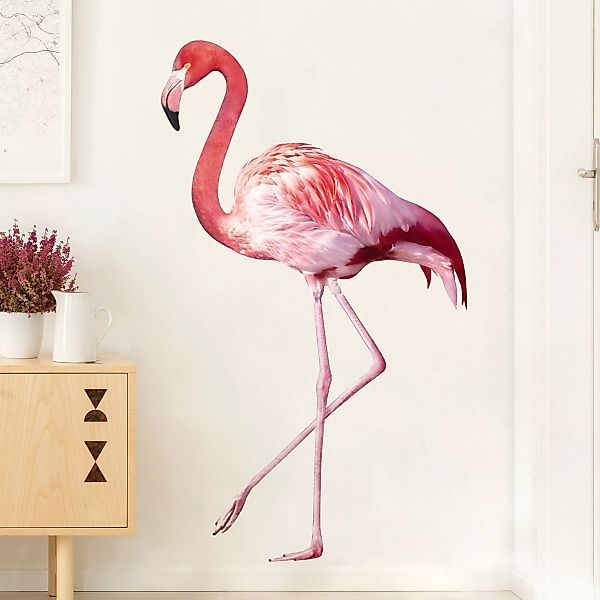 Wandtattoo No.YK21 Pink Flamingo günstig online kaufen