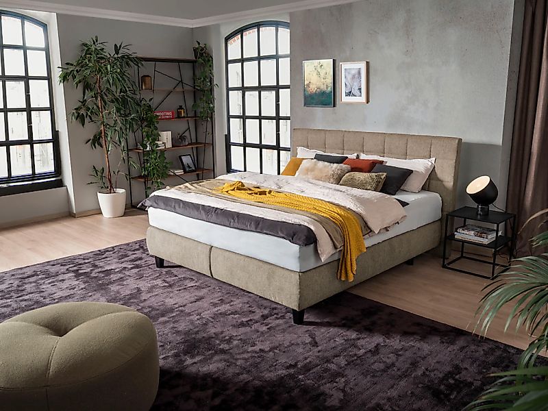 alina Boxspringbett "Edera", Doppelbett wahlweise mit Topper, Liegefläche 1 günstig online kaufen