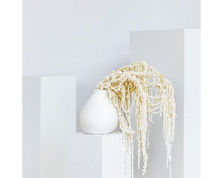 Trockenblume Amaranthus Stiele, LYKKE & You günstig online kaufen