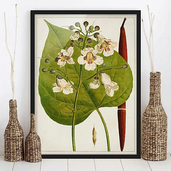 Bild mit Rahmen Blumen - Hochformat Tableau Blatt Blüte Frucht V günstig online kaufen