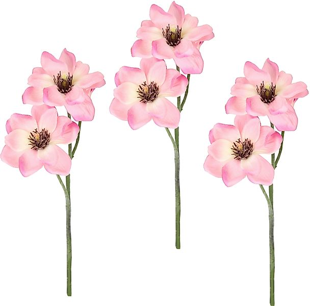 Kunstblume Magnolie, I.GE.A., Höhe 40 cm, günstig online kaufen