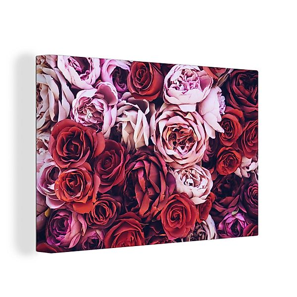 OneMillionCanvasses® Leinwandbild Rosen - Rot - günstig online kaufen