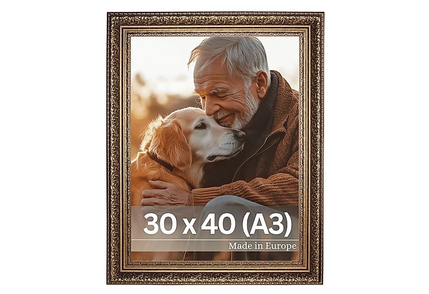 Victor (Zenith) Bilderrahmen Leonardo, Bilderrahmen Gold Braun 30x40 cm, Bi günstig online kaufen