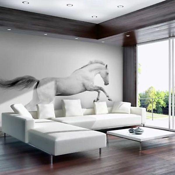 artgeist Fototapete White gallop schwarz/weiß Gr. 400 x 309 günstig online kaufen