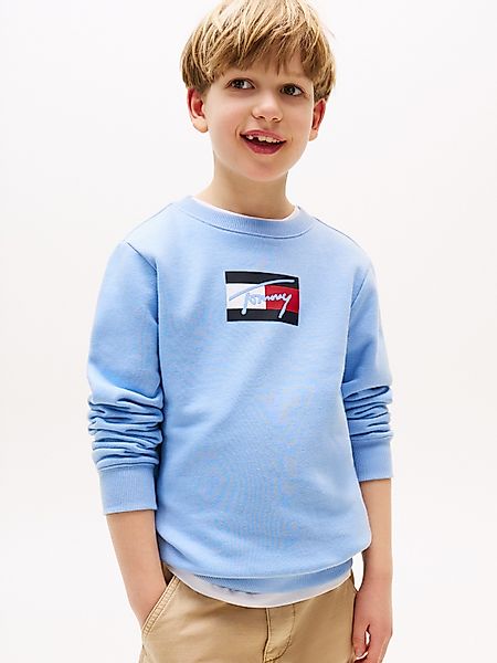 Tommy Hilfiger Sweatshirt TOMMY SCRIPT FLAG günstig online kaufen