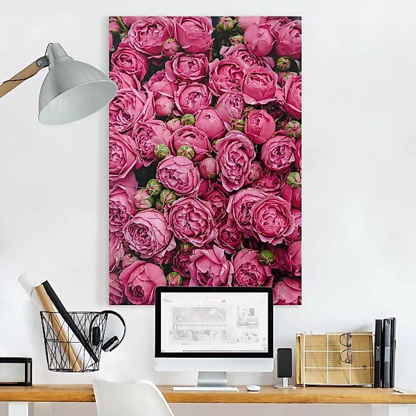 Leinwandbild Blumen - Hochformat Pinke Pfingstrosen günstig online kaufen