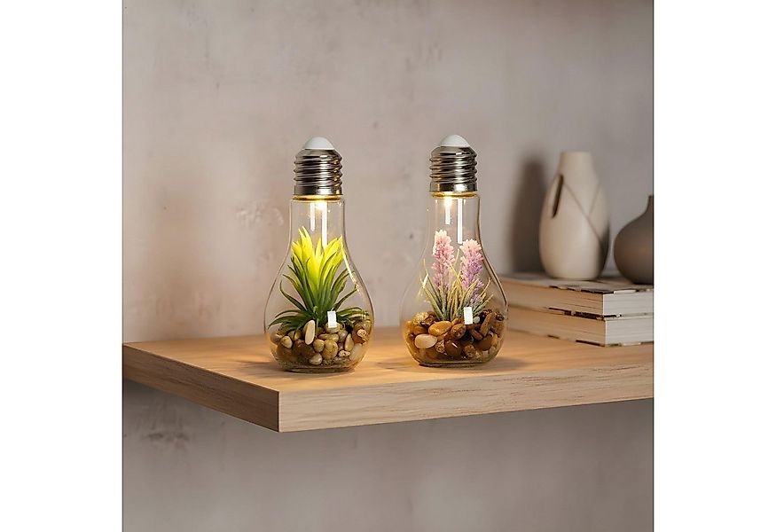 Levandeo® LED Dekoobjekt, 2er Set Sukkulenten Glühbirne Glas je B x H 8 x 1 günstig online kaufen