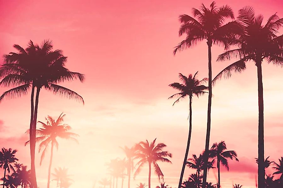 queence Acrylglasbild »Palmen im Sonnenuntergang« Amerika   Bilder von Amer günstig online kaufen