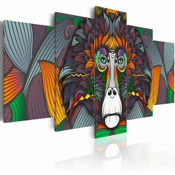 artgeist Wandbild Philosopher of the Jungle mehrfarbig Gr. 200 x 100 günstig online kaufen