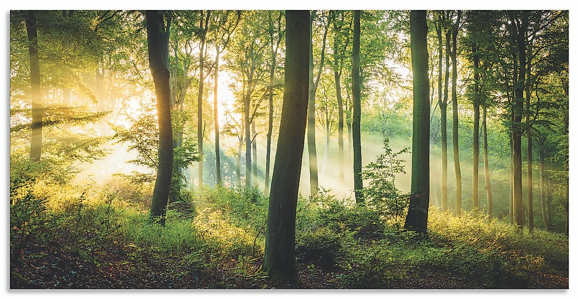 Artland Wandbild »Herbst im Wald II« Waldbilder 1 Stk. tlg. als Alubild, Ou günstig online kaufen