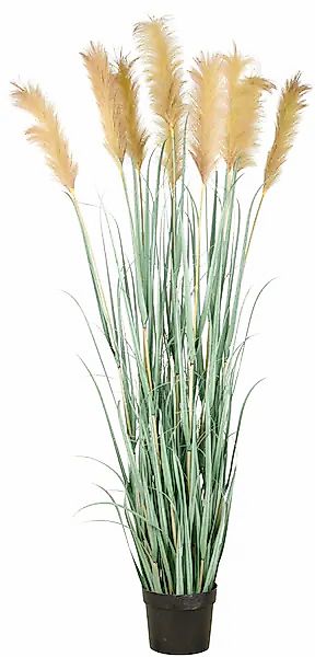 Creativ green Kunstgras »Grasbusch Cortaderia« in opulenter Größe günstig online kaufen