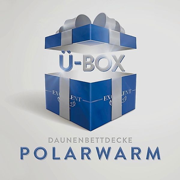 Excellent Daunenbettdecke "Überraschungsbox" polarwarm Füllung 90Daunen10Fe günstig online kaufen