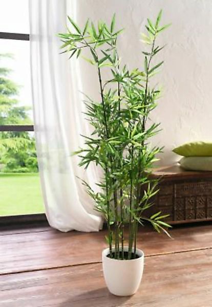 HOME Living Pflanze Bambus Kunstpflanzen bunt günstig online kaufen