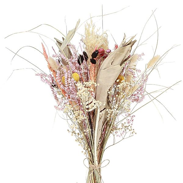 Trockenblume Trockenblumenstrauß Bunt Exotik 55cm 120g günstig online kaufen