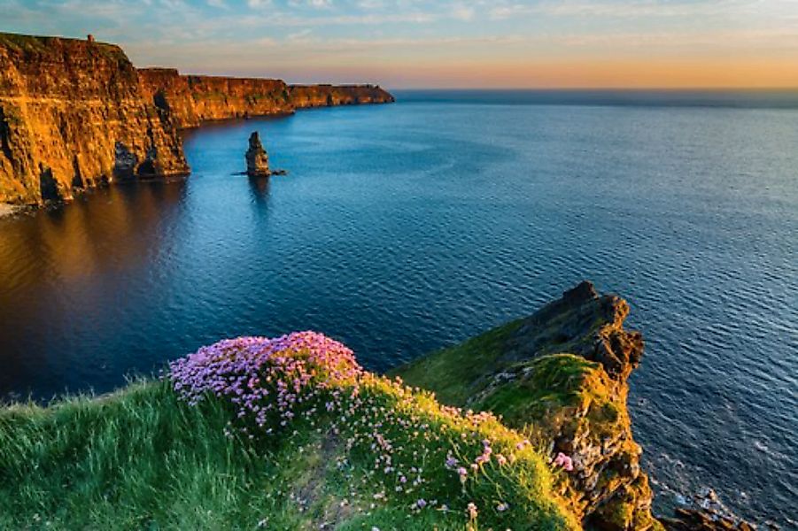 Papermoon Fototapete »MOHER IRLAND-STRAND KLIPPEN KÜSTE BLUMEN MEER GEBIRGE günstig online kaufen