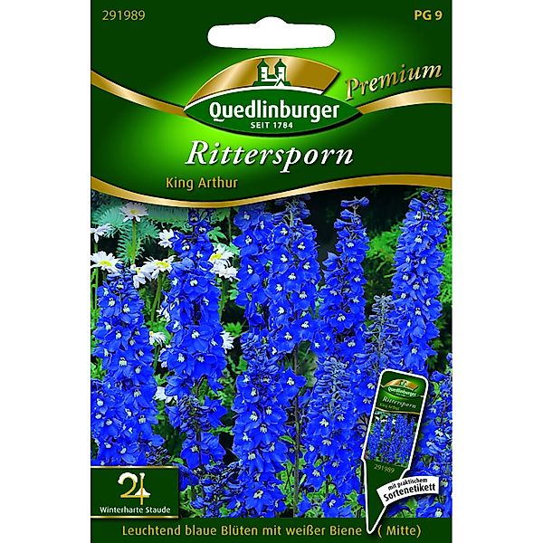 Quedlinburger Rittersporn ''King Arthur'' günstig online kaufen