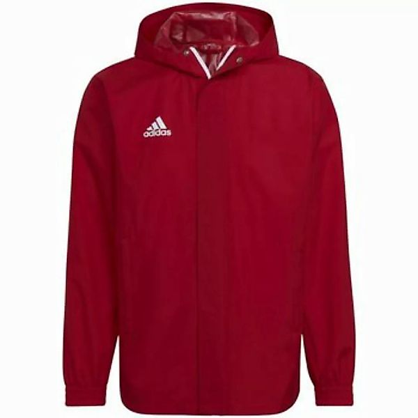 adidas  Herren-Jacke Sport Ent22 Regenjacke HG6299 günstig online kaufen
