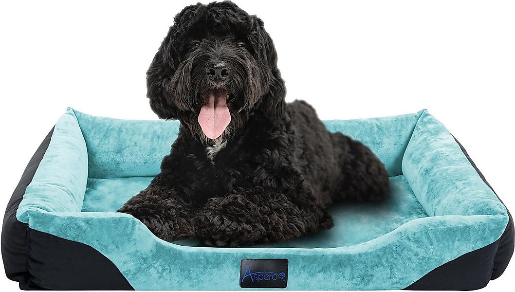 Aspero Tierbett Hundebett für kleine, mittelgroße und große Hunde, 50 % Bau günstig online kaufen