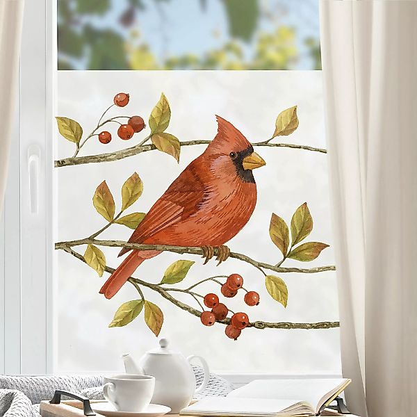 Fensterfolie Vögel und Beeren - Rotkardinal günstig online kaufen