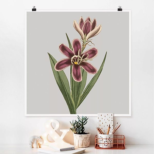 Poster - Quadrat Florale Schmuckstücke II günstig online kaufen