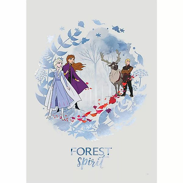 Komar Poster Frozen Spirit Disney B/L: ca. 50x70 cm günstig online kaufen