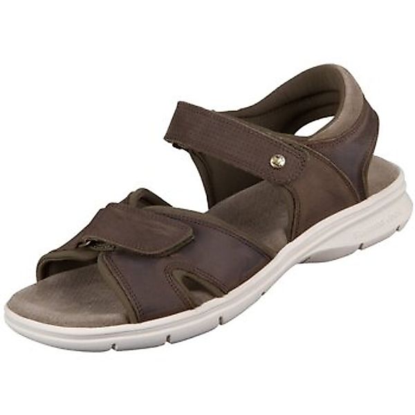 Panama Jack  Sandalen Offene Sanders C21 Sanders C21 khaki Napa Grass Sande günstig online kaufen