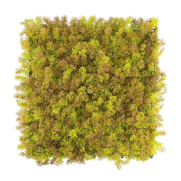 Primaflor-Ideen in Textil Kunstpflanze "Pflanzenwand, 50x50cm" Wanddeko, re günstig online kaufen