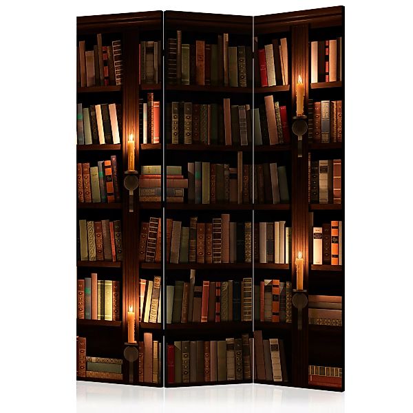 3-teiliges Paravent - Bookshelves [room Dividers] günstig online kaufen