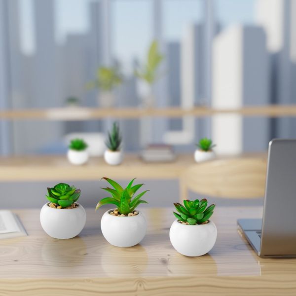 Künstliche Zimmerpflanze Kleine Kunstpflanzen & Künstliche günstig online kaufen