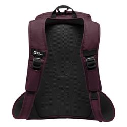 Jack Wolfskin Freizeitrucksack Jack Wolfskin Tagesrucksack günstig online kaufen