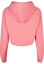 Starter Black Label Rundhalspullover Starter Black günstig online kaufen