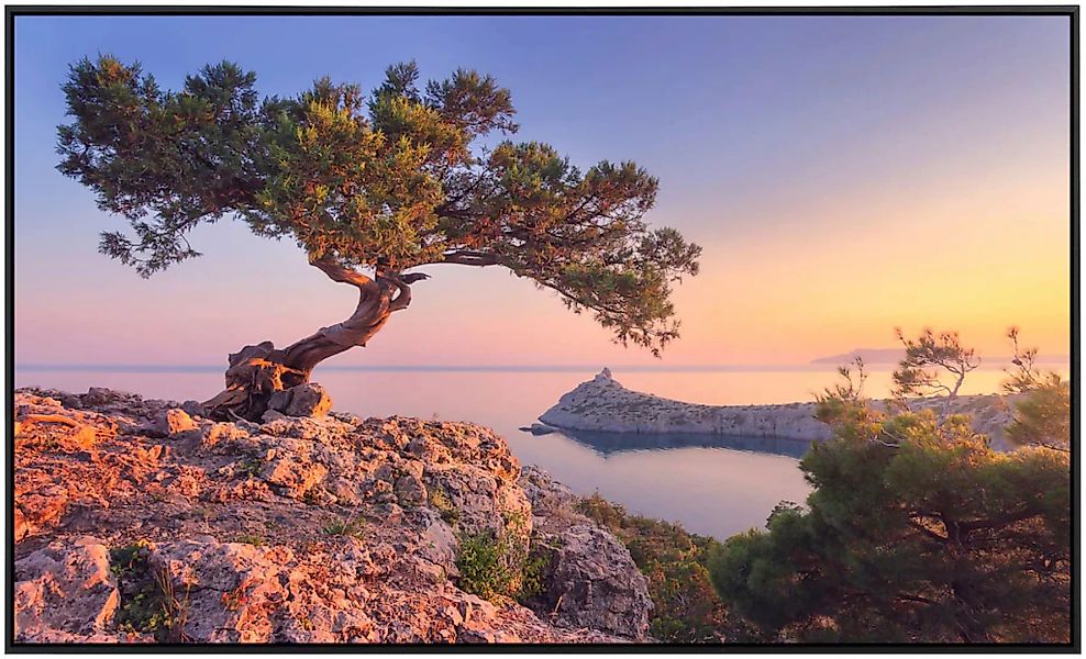 Papermoon Infrarotheizung »Erstaunlicher Baum auf dem Felsen«, sehr angeneh günstig online kaufen