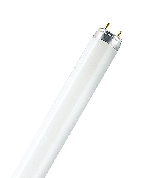 Osram LED-Leuchte Osram Leuchtstoffröhre G13 36W günstig online kaufen