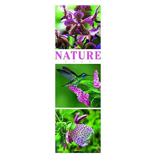 Nature Triplet-Kalender 2026 günstig online kaufen