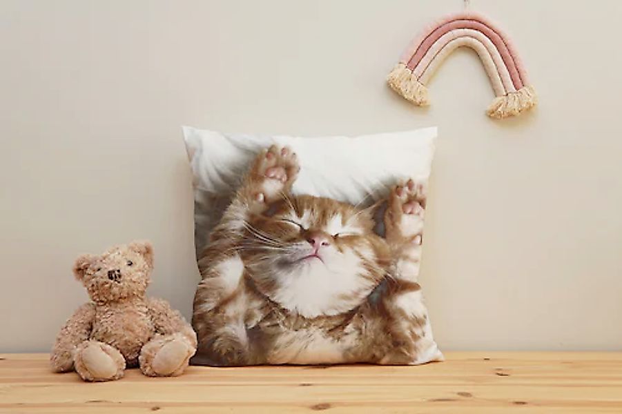 queence Dekokissen »Katzenbaby«, Kissenhülle mit HD Premium Druck, geruchsn günstig online kaufen