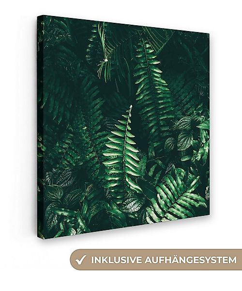 OneMillionCanvasses® Leinwandbild Blätter - Dschungel - Natur - Tropisch - günstig online kaufen