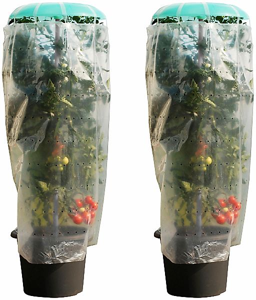 KHW Pflanzenschutzdach "Tomatenhut" inkl. Stab und Schutzfolie, BxH: 49x120 günstig online kaufen