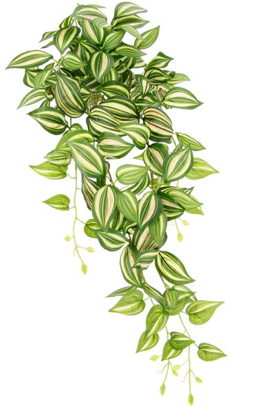 I.GE.A. Kunstpflanze "Tradeskantie" Hängepflanze günstig online kaufen